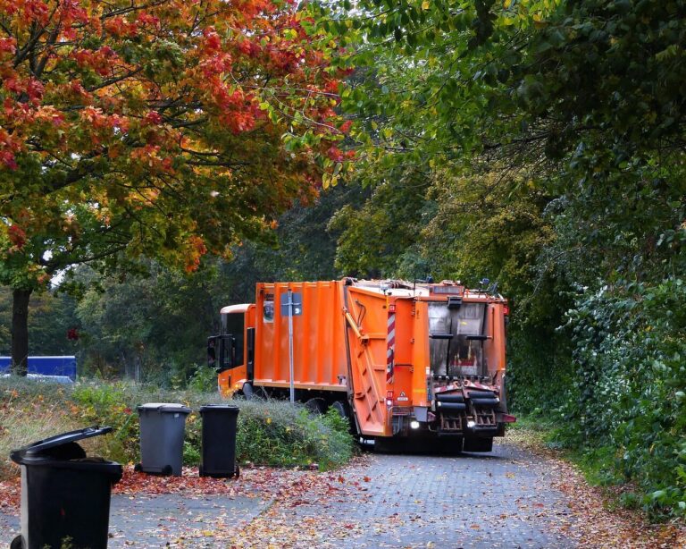 garbage truck, garbage disposal, waste disposal, garbage, waste bins, pick up, automobile, vehicle, transport, leaves, garbage can, fall, multicoloured, black bin, residual waste, garbage truck, garbage truck, garbage truck, garbage truck, garbage truck